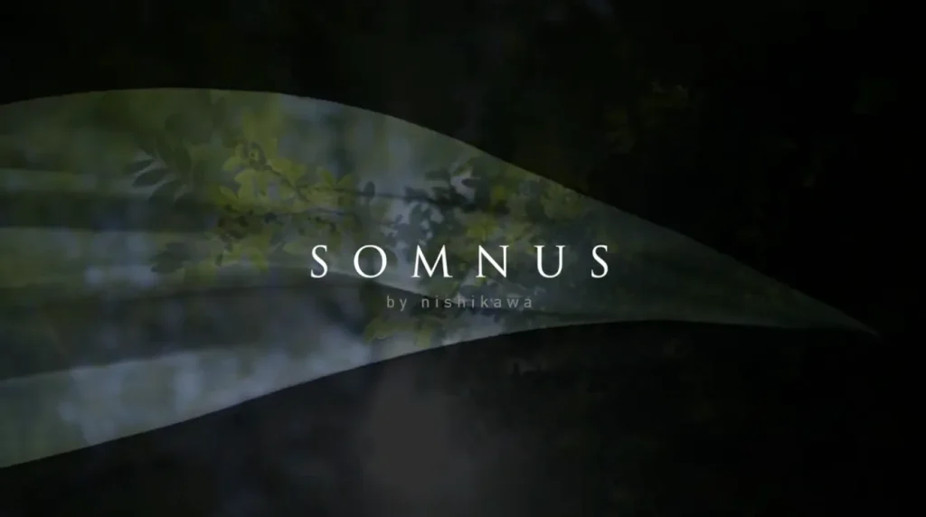 SOMNUSティザー